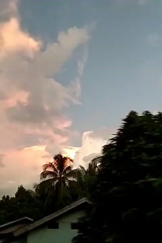 The video shows a rapidly passing view of trees, some of which appear to be palm trees, against a backdrop of a partially cloudy sky tinged with orange from the setting sun. The perspective is from a moving vehicle, likely a car, giving the sensation of speed. The camera angle is aimed upwards, capturing the tops of the trees and the sky. A voice is heard speaking in an unknown language.