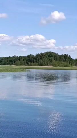 The video shows a wide, calm lake under a bright blue sky with scattered white clouds. The surface of the water reflects the sky and the tree line that borders the far side of the lake. The tree line consists of dense green foliage. There are no people or man-made objects visible in the frame. The overall impression is one of a serene natural landscape on a sunny day.