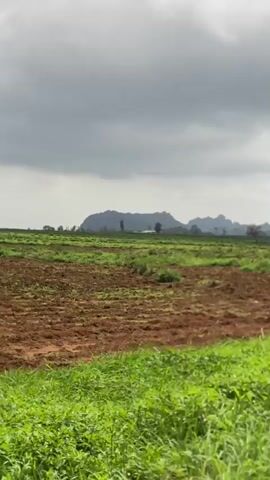 A wide, ground-level shot pans across a rural landscape under a cloudy sky. In the foreground, lush green grass and vegetation grow thickly. Beyond this, a patch of tilled, reddish-brown earth is visible, suggesting recently worked farmland. In the middle ground, more green grass and some mounds of dirt are present. In the background, a distant mountain range, partly obscured by clouds, dominates the horizon, with some trees scattered around its base. The overall scene is one of undeveloped, natural terrain.