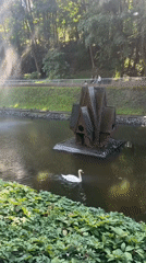 Swans, fountains, and a park stroll on a sunny morning