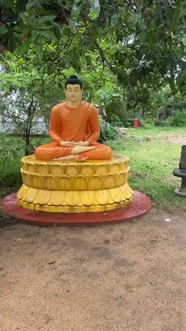 The video shows a statue of Buddha sitting in a cross-legged meditation pose on a lotus-shaped pedestal. The statue is orange and gold and is situated outdoors in a garden setting. There are trees and greenery in the background, and the ground is covered with dirt and grass. The video is shot from a medium distance, with the camera moving slightly to provide different angles of the statue. There are some offerings of flowers placed in front of the statue.