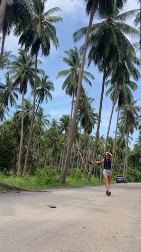 Woman walks palm-lined roads in Thai village