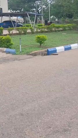 The video captures a first-person perspective moving forward along a paved road in Hayin Banki, Nigeria, during the daytime. On the immediate right, the road is bordered by a curb painted with alternating blue and white sections. To the left, a well-maintained green grass median features several small, bushy shrubs.

In the midground, a large paved area is visible where a blue sedan is parked under a metal-framed car shelter. Further into the background, mature trees and parts of a building can be seen, suggesting a campus, institutional, or residential complex. A person, dressed in dark clothing, is briefly seen walking in the background near the parked cars. The sky appears overcast or hazy, indicating a calm day with diffuse light. The camera passes over a subtle speed bump or raised section on the road. No visible text is present.
