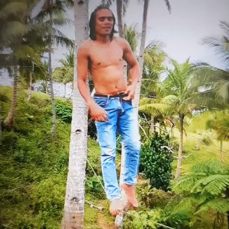Slacklining and tree climbing session in tropical Dubai setting