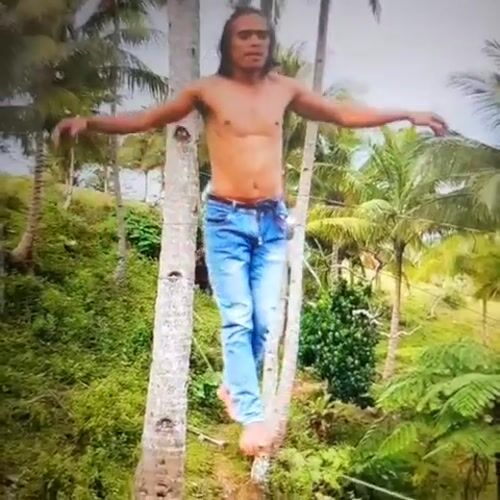 Slacklining and tree climbing session in tropical Dubai setting