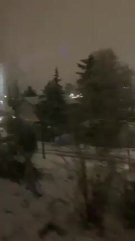 The video shows a view from inside a vehicle, likely a train or bus, moving past a snow-covered residential area at night. The view is through a window, with the reflection of the interior visible at times, including a "no" symbol within a circle. Outside, houses with snow-covered roofs and yards are visible, along with trees and streetlights illuminating the scene. The camera movement indicates the vehicle is in motion.