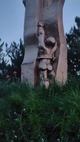 The video shows a close-up, low-angle shot of a metallic sculpture, possibly a monument, in an outdoor setting at dusk or dawn. The sculpture features relief carvings of human figures. In the foreground, lush green grass and a few red poppies are visible. The sculpture itself is abstract and textured, with carved human faces and figures appearing within its structure. The lighting suggests low ambient light, with some artificial light possibly illuminating parts of the sculpture, creating shadows and highlights. The sky is a muted blue, indicative of twilight. The camera moves slightly, panning upwards to reveal more of the sculpture's details. No people are actively interacting with the sculpture. The environment appears to be a park or public space.
