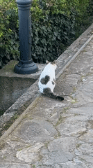 Park visitors enjoy butterfly sculpture, treats in Burgas