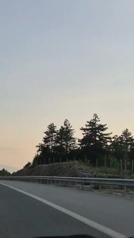 This is a vertical, eye-level, POV shot of a road and its surrounding environment. The shot appears to be taken from a vehicle traveling along a highway. In the foreground, the asphalt road is visible with a white line marking its lane. A metal guardrail runs along the side of the road.

Beyond the guardrail, a rocky embankment rises, topped with a cluster of tall, dark green pine trees. A low fence runs along the crest of the embankment, behind the trees. The sky is a pale, hazy blue, suggesting it is either early morning or late afternoon. The light is soft and diffused, and there are no harsh shadows.

Further in the distance, rolling hills and mountains are visible. The landscape is predominantly natural, with vegetation and open sky. There is no visible text in the media. The overall impression is one of peaceful travel through a natural, undeveloped landscape, possibly in a rural or mountainous region. The time of day and soft lighting evoke a calm and serene atmosphere.