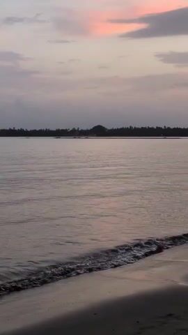 This is a video of a tranquil beach scene at sunset in Badem, India. The subjects are the calm ocean waters, a sandy shore, and a distant treeline under a soft, colorful sky. The activity is the gentle lapping of waves onto the beach, creating a peaceful and serene atmosphere.

The time of day is clearly sunset, indicated by the pastel pinks and purples in the clouds and the subdued light. The weather appears to be calm and clear, with no visible wind affecting the water's surface. The location cues include the distinct treeline and the overall feel of a coastal environment, which aligns with Badem being in India, a country with a long coastline.

There is a subtle sense of peace and calm evoked by the scene. The soft colors and gentle movement of the water contribute to a relaxing and contemplative mood. There is no visible text in the media file.