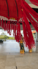 Morning scenes from traditional Balinese garden captured by witnesses