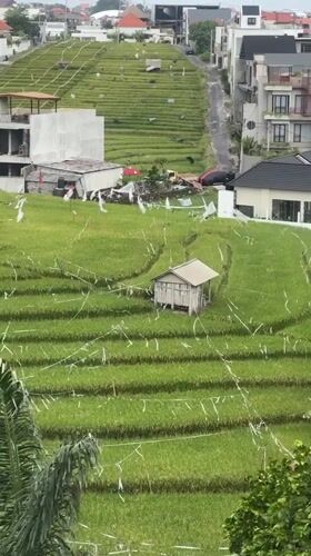 Rice paddies and rooftops: two faces of Mengwi, Bali