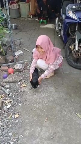 A young girl wearing a pink hijab and a floral shirt is crouching on the ground, playing with a black kitten. The kitten is looking down and appears to be interacting with something on the ground. The girl is smiling and reaching out to the kitten. There are several rocks and two balls, one orange and one purple, on the ground near them. In the background, a motorcycle is parked and other people and objects are partially visible. The ground is a mix of gravel and concrete.