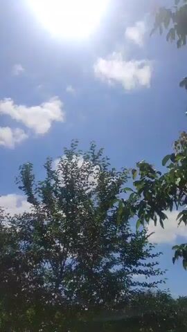 The video shows a view of the sky from a low angle. There are some clouds in the sky and the sun is shining. There are also some trees in the foreground. The video is shaky and appears to be handheld.