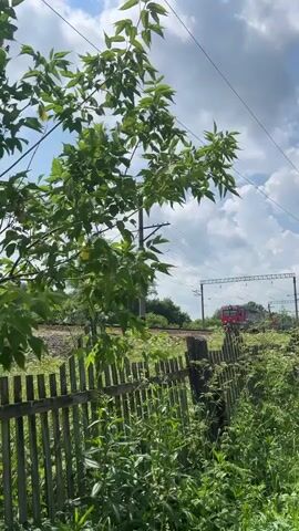 A train travels on railway tracks under a cloudy sky. The train is red and gray, and it appears to be an electric locomotive. In the foreground, there is a wooden fence and green foliage. The fence is made of vertical wooden planks, and it is partially covered by grass and weeds. A tree branch with green leaves hangs from the left side of the frame. The train is visible in the distance, and it is moving from left to right. The sky is filled with white, puffy clouds, and there are power lines above the train tracks.