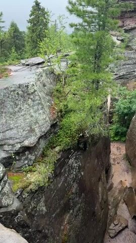 A video shows a view looking down into a narrow, rocky gorge with muddy ground. A small tree grows from the side of the gorge. The camera pans to the right, showing more of the gorge, and then pans up to reveal a natural rock archway in the distance. Several cairns, or stacked stones, are visible on a rocky ledge near the archway. The scene appears to be a natural outdoor environment with trees and rocks.
