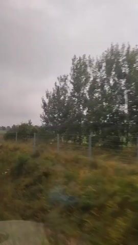 The video is a blurry, side-view shot from a moving vehicle, likely a car or train, looking out at a rural landscape under a cloudy sky. The foreground is dominated by tall, green grass and weeds, with some white wildflowers interspersed. A fence, made of thin metal posts and wire, runs horizontally across the middle of the frame, separating the foreground from the background. Beyond the fence, there is a field of green crops, and further in the distance, several buildings can be seen, appearing as small white structures. Trees and bushes are scattered throughout the landscape, and the overall impression is of a natural, open space. The motion of the vehicle creates a sense of speed and movement, with the landscape appearing streaked and unfocused. The lighting is dim and diffused, consistent with an overcast day. The video is short, lasting only a few seconds, and there are no visible people or distinct actions.