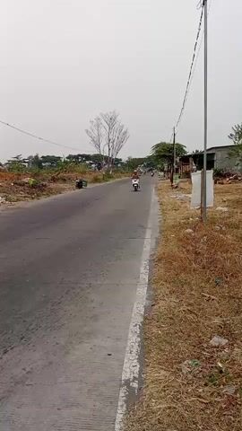 A person rides a white scooter down a paved road. The road is bordered by dry grass and some sparse vegetation. In the background, there are trees, some buildings, and utility poles with wires. The sky is overcast.
