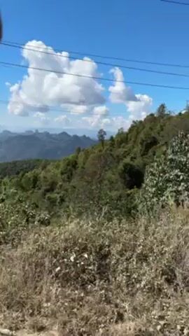 The camera is in motion, viewing a landscape that includes a foreground of low-lying vegetation, transitioning to a view of a forest and mountains in the distance, with a bright blue sky and white cumulus clouds overhead.  Electrical wires stretch across the upper portion of the frame. The scene suggests a travel perspective, possibly from a vehicle.  The environment is sunny and open.
