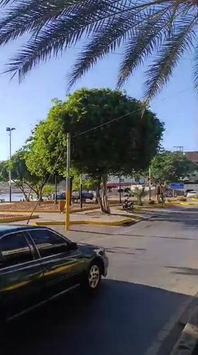 Street scene captured in Juan Griego, Venezuela