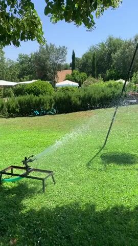A sprinkler waters a lush green lawn on a sunny day. The sprinkler is attached to a hose and a black metal stand. In the background, there is a large triangular structure with a pot of pink flowers at the top, and beyond that, trees, hedges, and a building with a thatched roof. The leaves of a tree hang from the top of the frame.