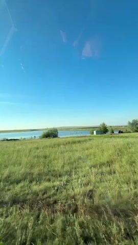 The video shows a view from a vehicle, looking out at a grassy field with a body of water in the distance. The sky is clear and blue. There are a few scattered trees and what appear to be buildings or structures near the water. The grass in the foreground is green and appears to be slightly wind-blown. The reflection of the vehicle's interior is visible in the window.