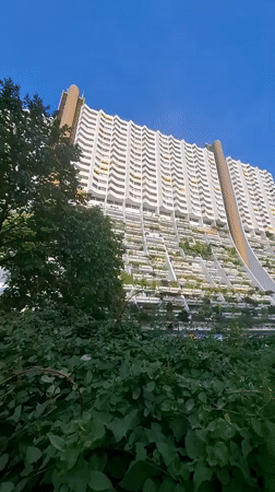 Vienna resident captures distinctive white apartment building with plant-lined balconies