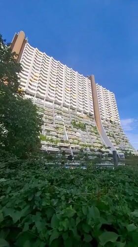Vienna resident captures distinctive white apartment building with plant-lined balconies