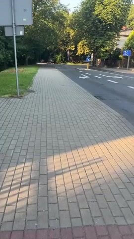 The video shows a sidewalk next to a road in Chorzów, Poland. The sidewalk is paved with grey rectangular bricks, and a strip of green grass runs alongside it. On the right side of the sidewalk is a paved road with white lane markings, indicating a turn. There are trees with green and yellow foliage lining the road and sidewalk, suggesting it is late summer or early autumn. The sun is casting long shadows, indicating it is either early morning or late afternoon.

There are no people visible in the frame. Several objects are present: a metal pole with a rectangular sign at the top stands on the left side of the sidewalk, a yellow pole with a blue circular sign on it is near the side of the road, and a blue rectangular sign with white symbols is visible further down the road. The general atmosphere is peaceful and quiet, with no indication of a specific event taking place. The scene appears to be a typical urban street with a pathway for pedestrians.
