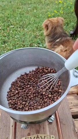 A person's hand is visible on the right side of the frame, holding a white whisk and stirring coffee beans in a metal pot. The pot is resting on a wooden surface, possibly a table or stand. In the background, a small, brown, fluffy dog is sitting on green grass. The overall scene suggests an outdoor setting.