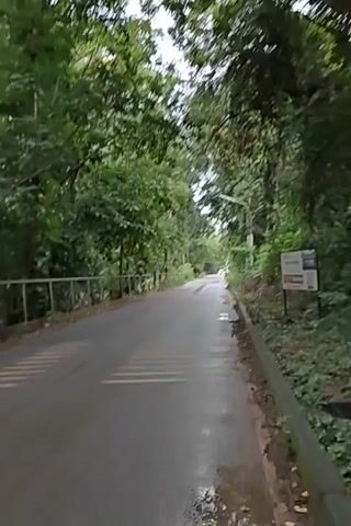This video shows a paved road lined with lush green trees and foliage on both sides. The road appears to be wet, suggesting recent rain. The sky is overcast. In the distance, a person on a scooter is riding away from the camera. There are white markings on the road that resemble speed bumps or a pedestrian crossing. A metal fence runs along the left side of the road. On the right side, there is a signpost with some text and graphics. The overall impression is a serene, natural environment with a road passing through it.