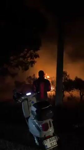 At night, a man stands with his back to the viewer, looking at a fire in the distance. He is wearing a jacket with red accents. A light-colored scooter is parked next to him. The license plate on the scooter reads "17 AGU 577". The environment appears to be a rural area with trees. The fire is large and orange.