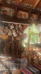 Quirky museum-restaurant in Molodizhne with monkeys and vintage collectibles