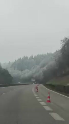 The video depicts a drive on a highway bordered by a snow-covered forest. The day is overcast and visibility is slightly reduced due to the weather. The road is marked with white dashed lines, and a series of orange traffic cones line the shoulder. A few vehicles can be seen distantly ahead on the road. The trees on the adjacent hillside are visibly coated with frost or snow, creating a wintry scene.