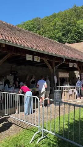 A sunny day with a long line of people waiting at an outdoor stand beneath a covered roof. The stand appears to be selling drinks, with a sign visible that reads "LIMONADE". Trees and foliage surround the area, suggesting an outdoor event or market.