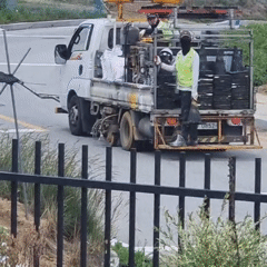 Summer morning in Dunnae-myeon: watermelon, a dog, and roadside work