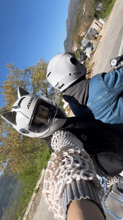 Motorcyclists spotted in Budva, front rider wearing cat-eared helmet