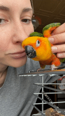 Woman holds colorful bird in Khimki, Russia