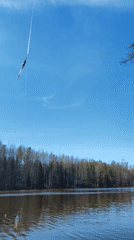 Angler catches multiple fish during lakeside fishing session