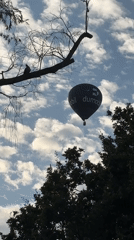 Dumobil-branded hot air balloon lifts off into a cloudy sky