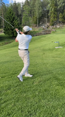 Golfers share Norwegian course with Canada geese families