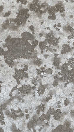 Weathered concrete surface documented in Amsterdam