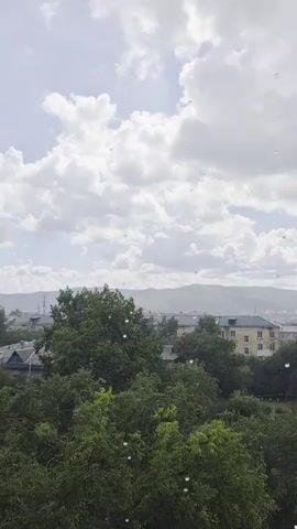 The video captures an outdoor scene with a sky filled with fluffy white clouds against a pale blue backdrop. Below the sky, a panorama of a town unfolds. Lush green trees dominate the foreground, with their foliage appearing dense and vibrant. In the midground, residential buildings with beige and yellow facades are visible, interspersed with more greenery. The buildings have peaked roofs, some appearing to be made of metal. In the distance, rolling hills or mountains form a hazy outline against the horizon. The overall impression is that of a slightly overcast day in a populated area surrounded by nature.