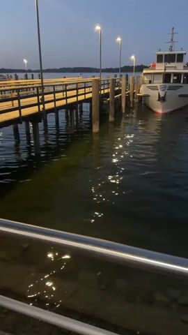 The video shows a pier on a body of water at dusk. A white passenger boat is docked at the pier. The water reflects the lights from the pier and the boat. Another similar boat is docked further down the pier. The sky is a deep blue, indicating the sun has set. There are no people visible in the video.