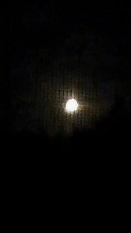 The video shows a bright full moon against a dark night sky. The moon is partially obscured by what appears to be a fine mesh or grid, creating a striped effect over its surface. Silhouetted trees or foliage are visible at the bottom of the frame, suggesting the setting is outdoors, likely in a natural environment like a forest or park. The overall mood is serene and nocturnal, with the moon being the dominant subject. There are no people or objects other than the natural elements. The time of day is clearly night due to the darkness and the presence of the moon. No weather conditions are discernible other than the apparent absence of clouds directly around the moon. There is no visible text in the video. The location context provided is Chernetsk, Russia.
