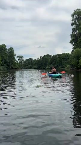 The video captures a serene daytime kayaking experience on a river or large body of water. The scene is dominated by a wide, calm waterway, reflecting the sky and surrounded by dense, lush green trees lining both banks. Some trees appear to be cypress or similar species, with visible roots extending into the water.

At the beginning, a person is seen paddling a blue kayak with an orange paddle, moving away from the camera. The sky is initially overcast with thick grey clouds. As the video progresses, the camera pans across the water and the wooded shoreline, revealing patches of blue sky and white cumulus clouds, indicating improving weather conditions.

Later shots are filmed from the perspective of a bright neon green kayak, showing its front and a black bag stowed inside. Another blue kayak is visible further along the river, and then a red kayak also appears ahead, suggesting a group outing. The water is dark and calm, with gentle ripples. No specific text or branding is visible. The overall impression is one of peaceful outdoor recreation, enjoying nature on the water.