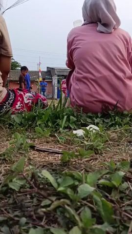 A woman wearing a pink hijab and a pink shirt is sitting in the foreground, facing away from the camera. In the background, there are several people, including children and adults, gathered outdoors. Some of the people appear to be watching something happening in the distance. The environment appears to be a grassy area with some dry leaves and twigs on the ground. The overall scene suggests a casual outdoor gathering or event.