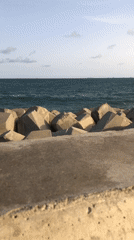 Person sits on seawall at Kuramo Waters coastal barrier