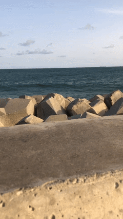 Person sits on seawall at Kuramo Waters coastal barrier