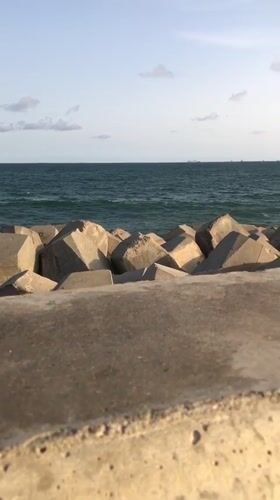 Person sits on seawall at Kuramo Waters coastal barrier